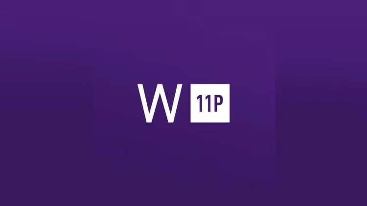 Windows 11 Professional OEM Key