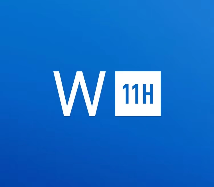 Windows 11 Home OEM Key