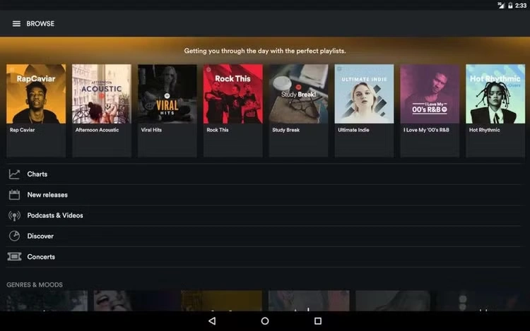 Spotify 12-month Premium Account