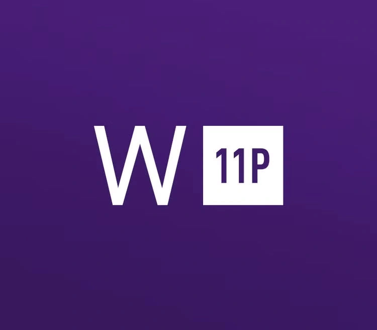 Windows 11 Professional N OEM Key
